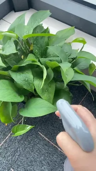 New Design Plastic Water Cleaning Trigger Sprayer